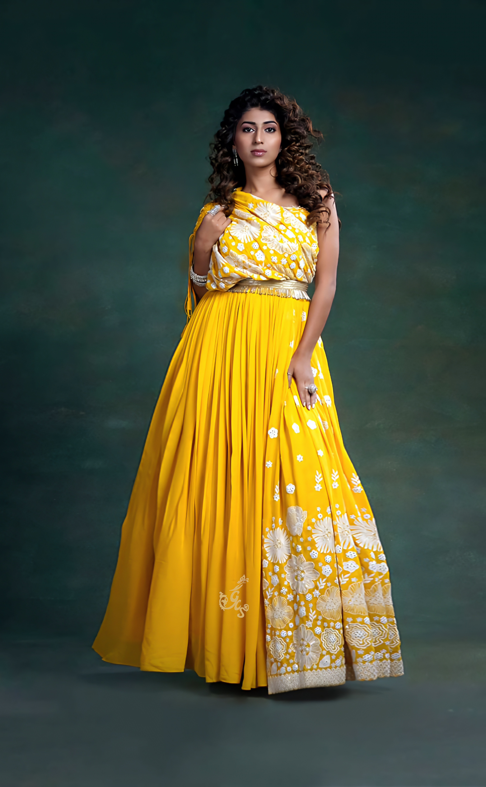 Vegan Georgette Gown With Resham Work