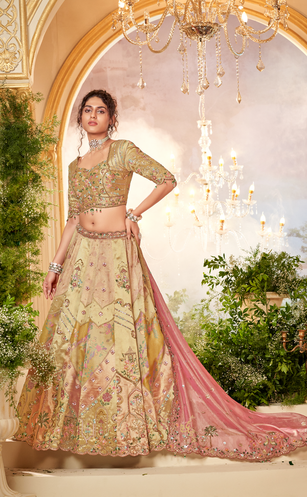 Celestial Charm Embroidered Vegan Organza Lehenga