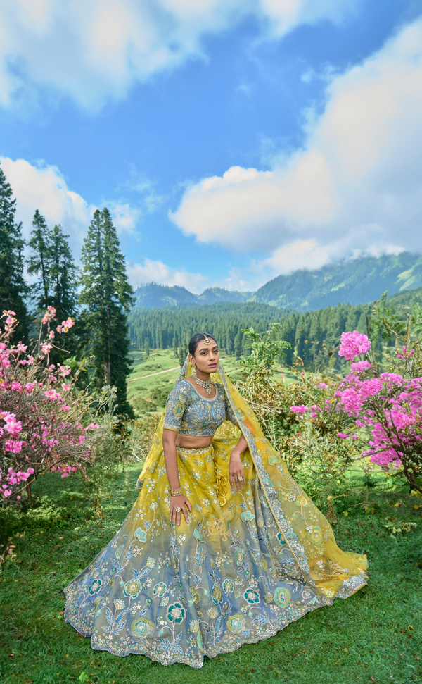 Shaded Embroidered Lehenga In Vegan Soft Tissue