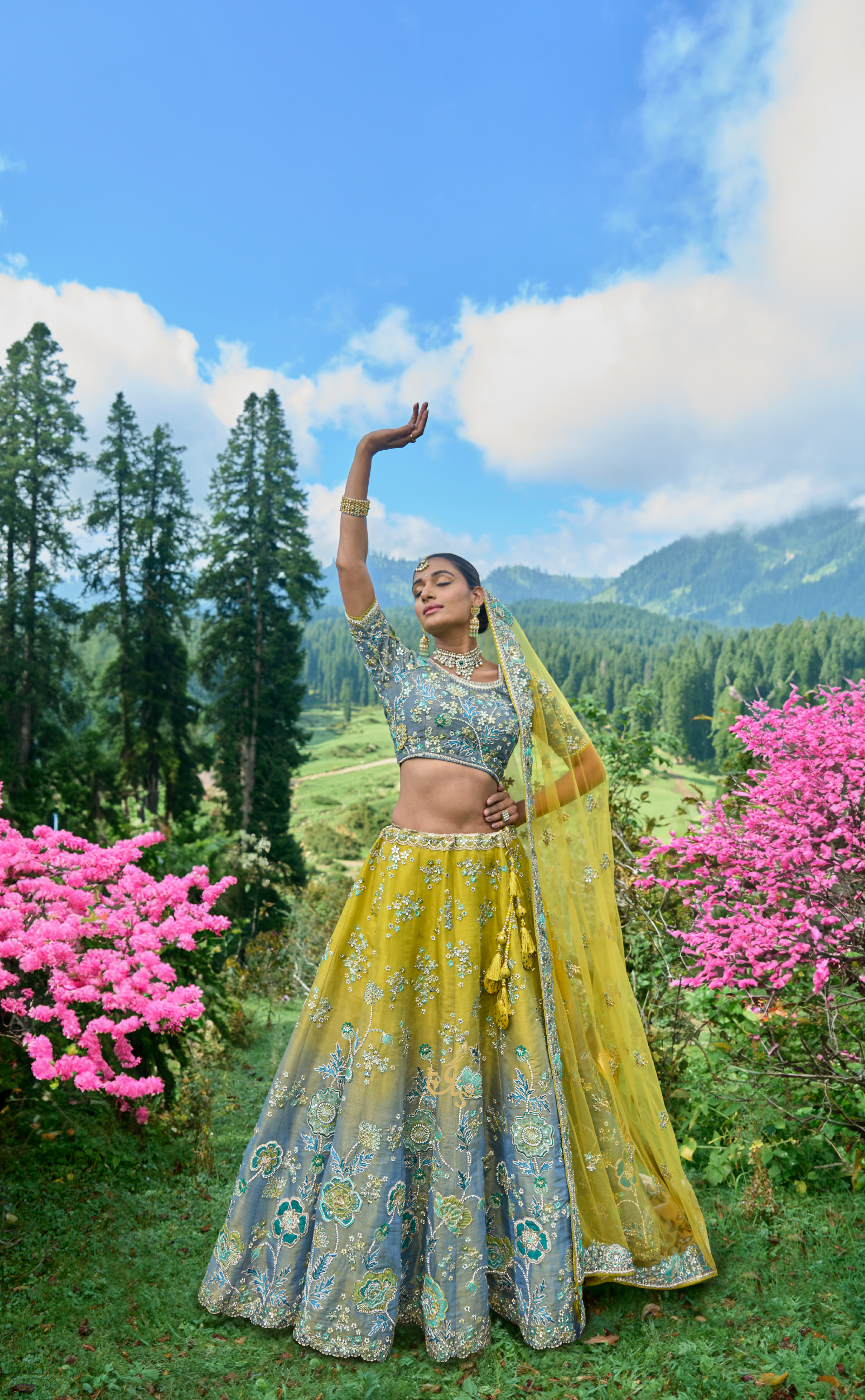 Shaded Embroidered Lehenga In Vegan Soft Tissue