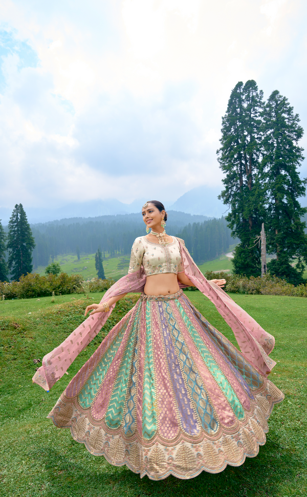 Multicoloured Embroidered Lehenga In Banarasi Vegan Organza