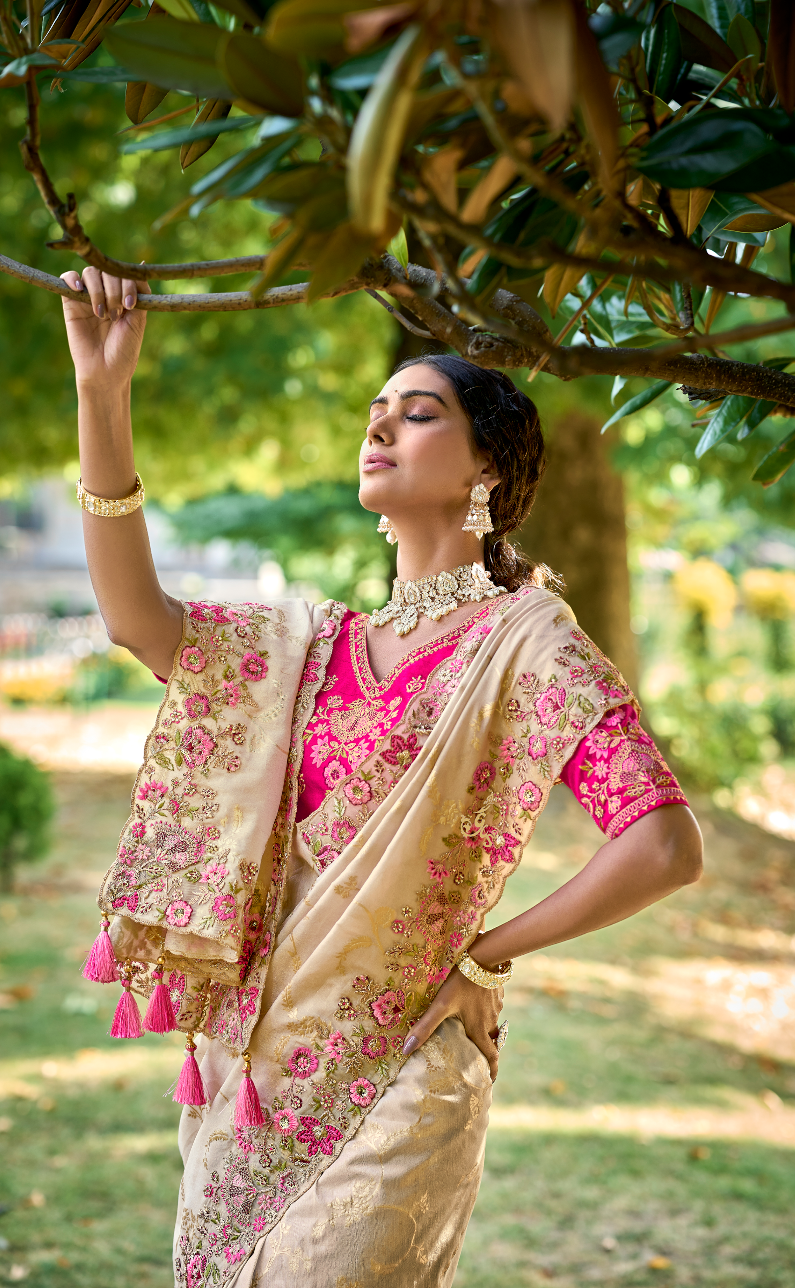 Vanilla Embroidered Saree In Banarasi Vegan Tissue Silk