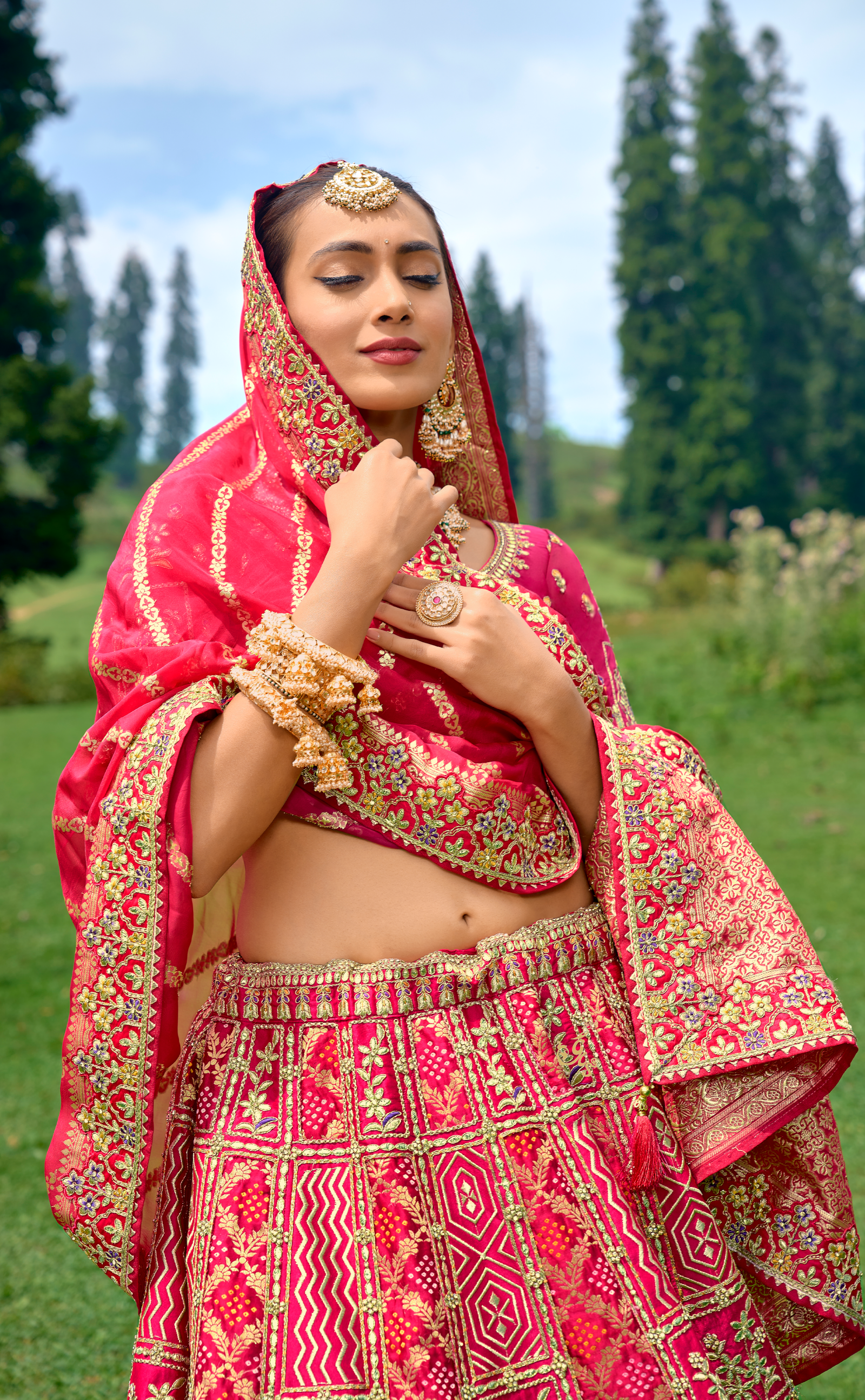 Rani Embroidered Lehenga In Banarasi Vegan Silk